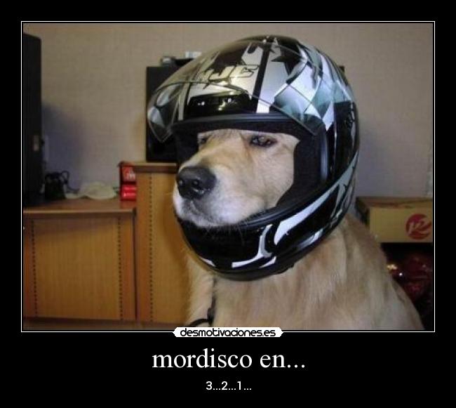 mordisco en... -