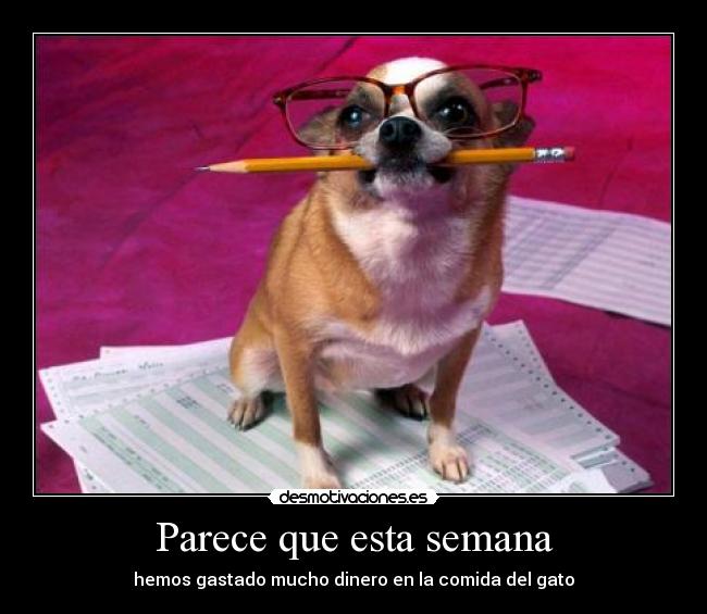 Parece que esta semana - 