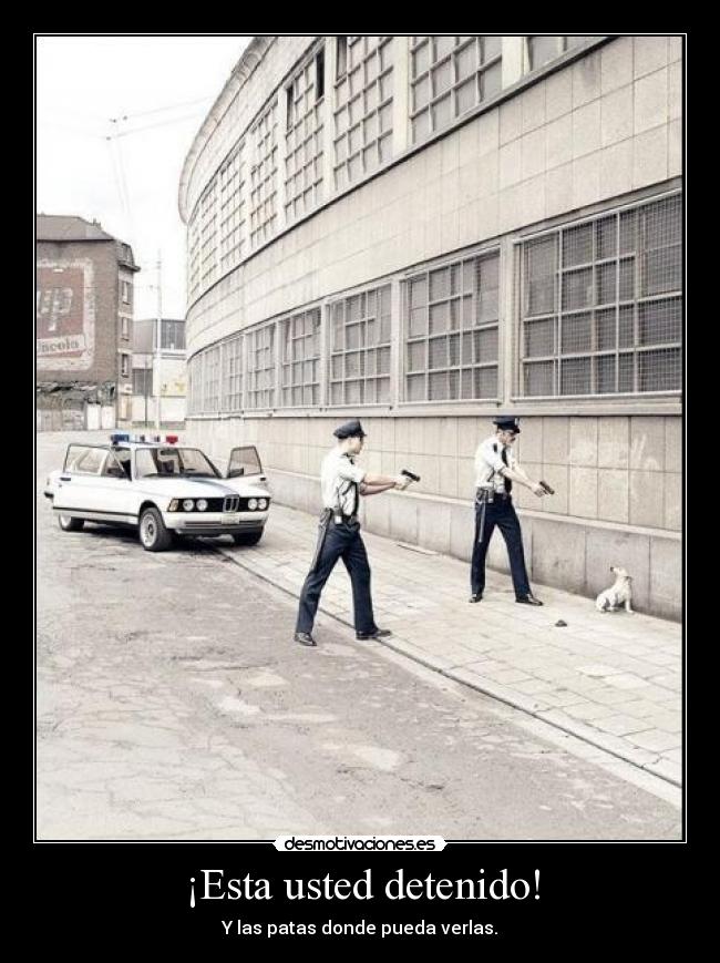 ¡Esta usted detenido! - 