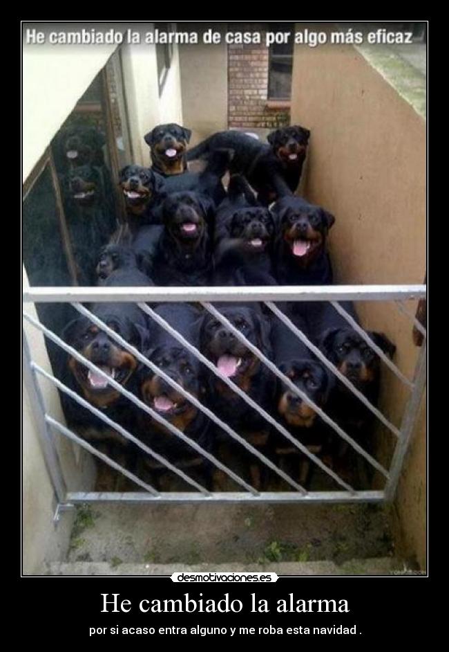 He cambiado la alarma - 