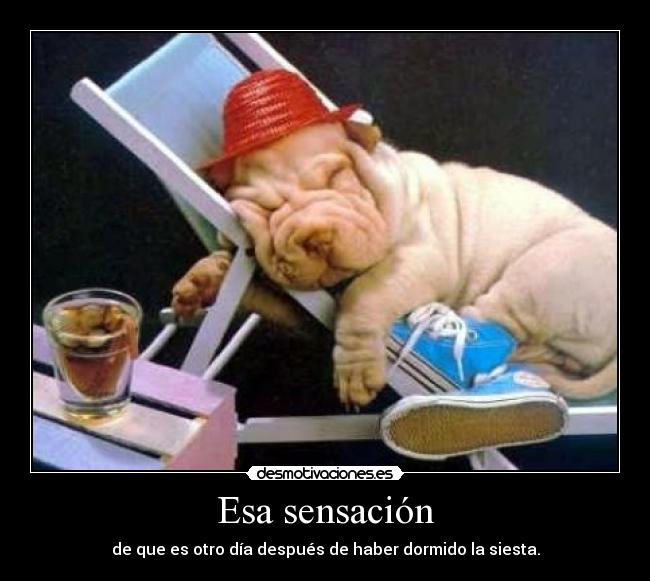 Esa sensación - de que es otro día después de haber dormido la siesta.