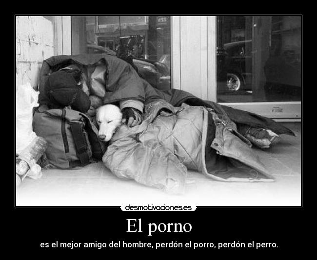 El porno - es el mejor amigo del hombre, perdón el porro, perdón el perro.