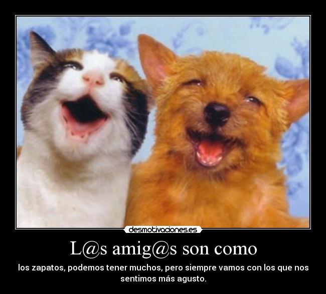 L@s amig@s son como - los zapatos, podemos tener muchos, pero siempre vamos con los que nos
sentimos más agusto.