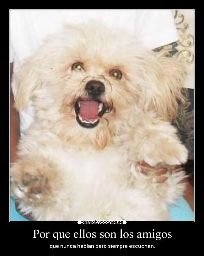 Por que ellos son los amigos -