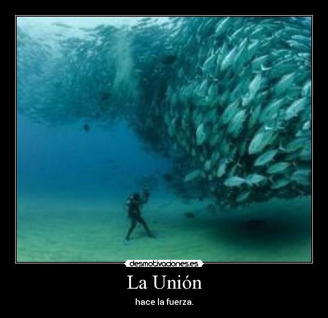 La Unión - hace la fuerza.