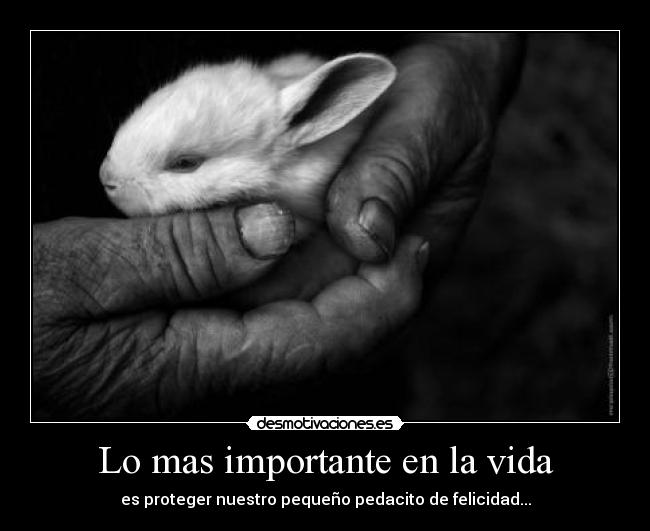 Lo mas importante en la vida - 