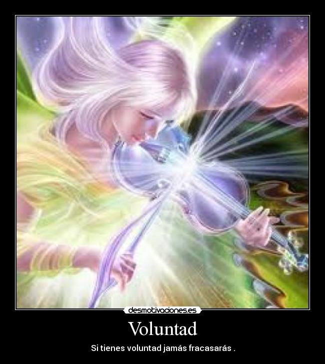 Voluntad - 