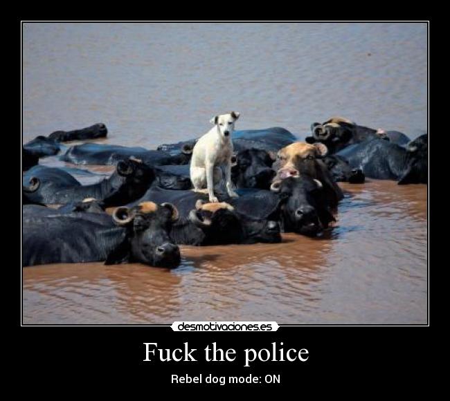 Fuck the police -