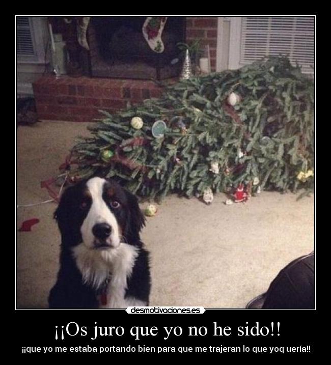 ¡¡Os juro que yo no he sido!! -