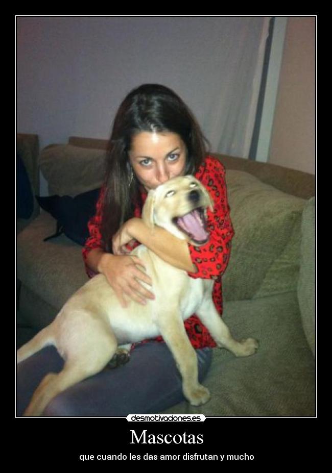 carteles mascotas desmotivaciones