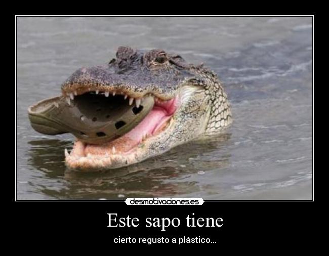 Este sapo tiene - 