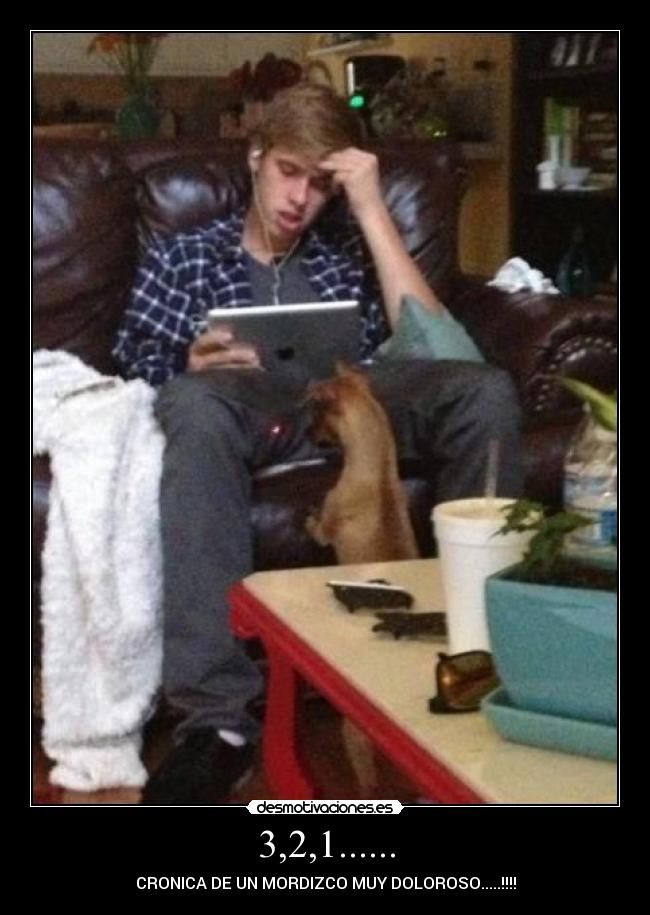 3,2,1...... - CRONICA DE UN MORDIZCO MUY DOLOROSO.....!!!!