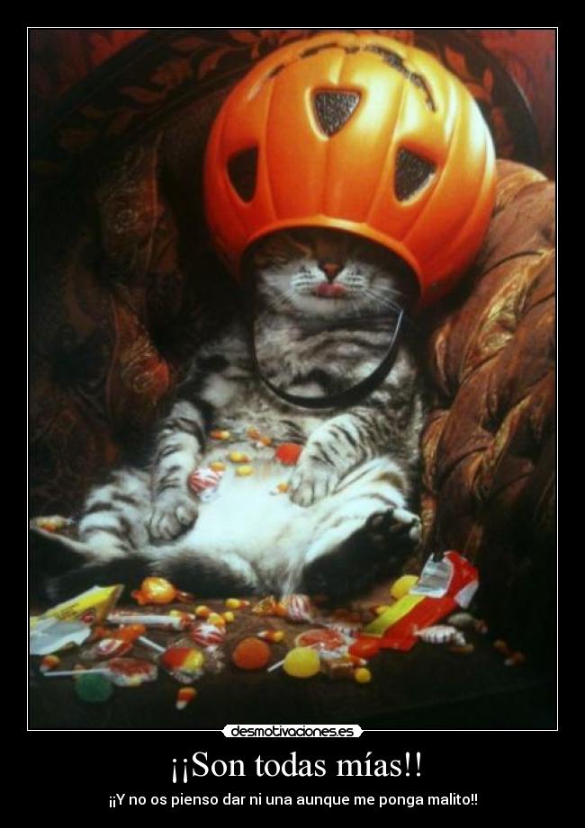 ¡¡Son todas mías!! -