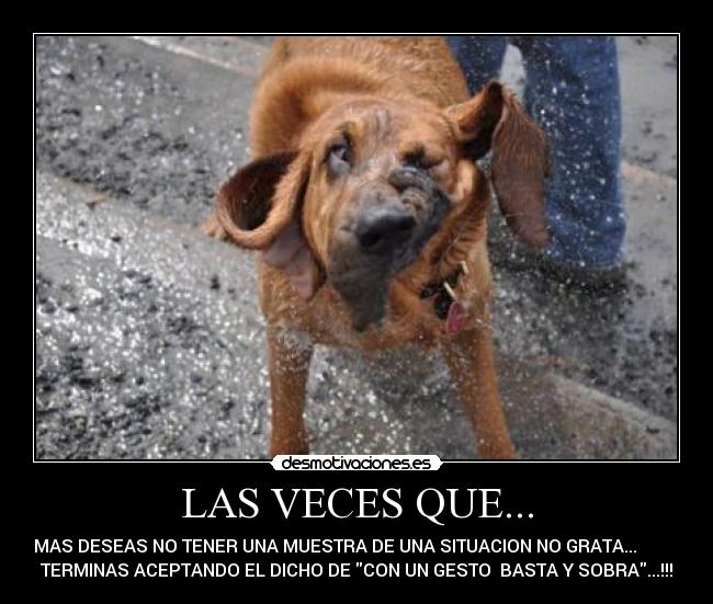 LAS VECES QUE... - MAS DESEAS NO TENER UNA MUESTRA DE UNA SITUACION NO GRATA...
TERMINAS ACEPTANDO EL DICHO DE CON UN GESTO BASTA Y SOBRA...!!!