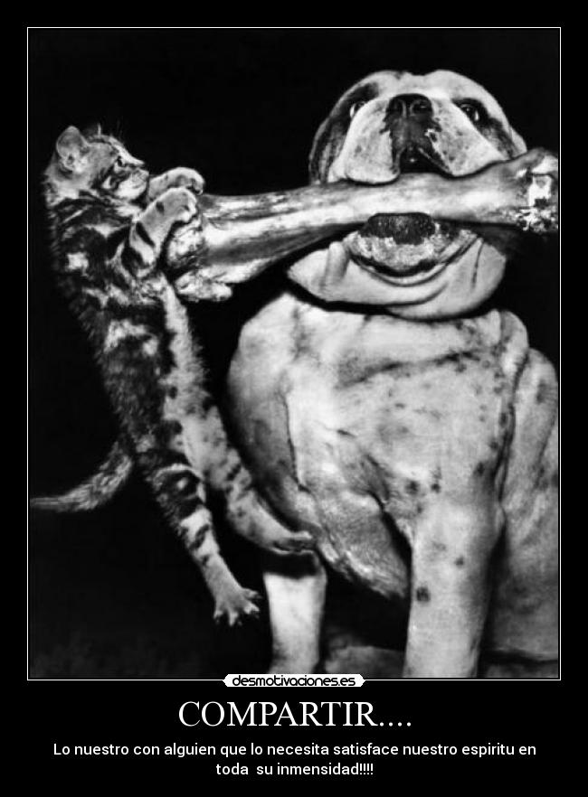 COMPARTIR.... - Lo nuestro con alguien que lo necesita satisface nuestro espiritu en
toda su inmensidad!!!!