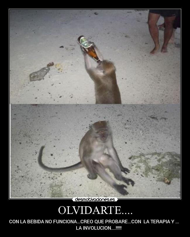 OLVIDARTE.... - CON LA BEBIDA NO FUNCIONA...CREO QUE PROBARE...CON LA TERAPIA Y ...
LA INVOLUCION....!!!!!