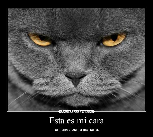 Esta es mi cara - un lunes por la mañana.