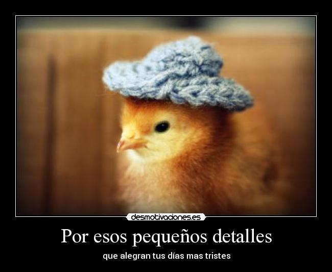 Por esos pequeños detalles - 