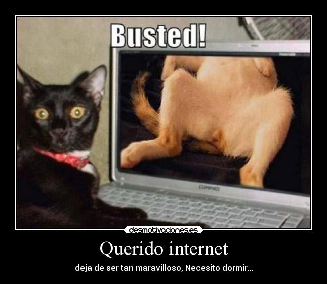 Querido internet - deja de ser tan maravilloso, Necesito dormir...