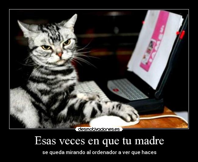 Esas veces en que tu madre - se queda mirando al ordenador a ver que haces