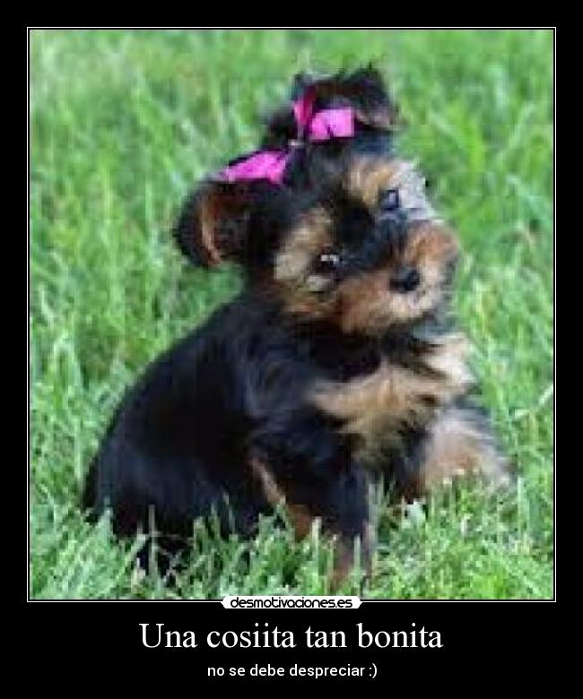 carteles martiita2001 desmotivaciones