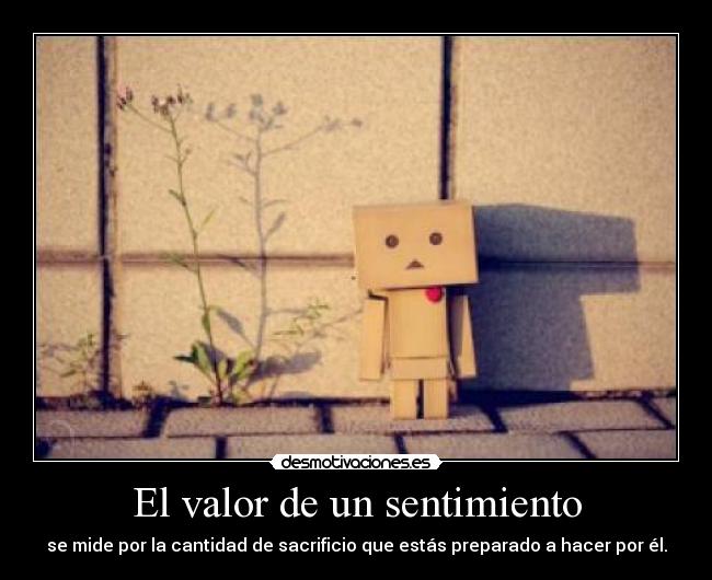 carteles valor sentimiento mide por cantidad sacrificio que estas preparado hacer por desmotivaciones