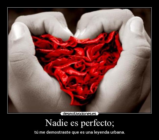 Nadie es perfecto; -