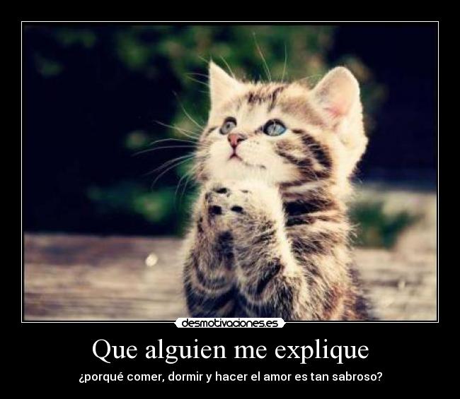 Que alguien me explique - ¿porqué comer, dormir y hacer el amor es tan sabroso?