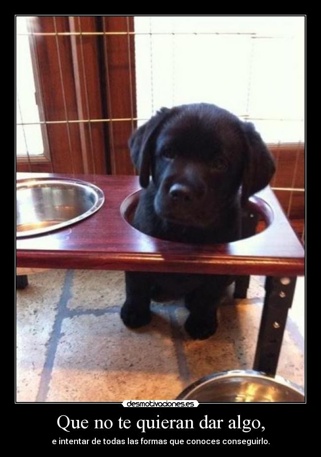 Que no te quieran dar algo, - e intentar de todas las formas que conoces conseguirlo.