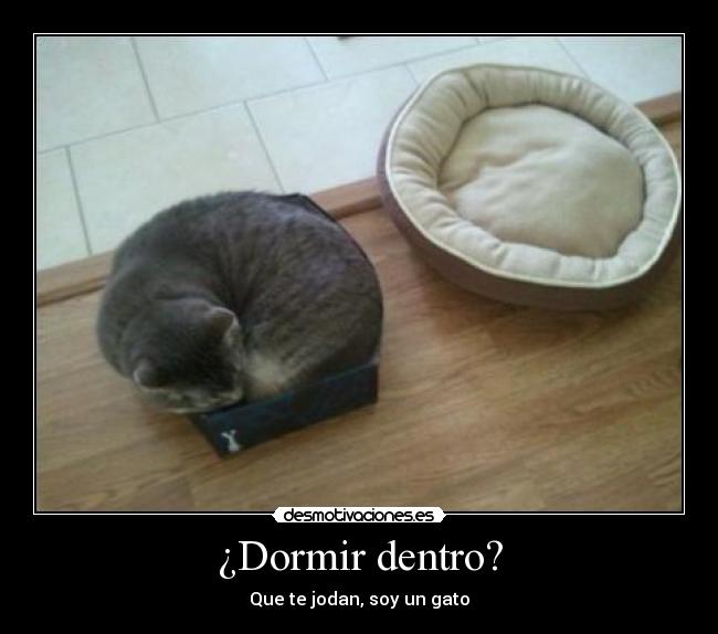 ¿Dormir dentro? - 