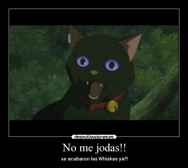 No me jodas!! - se acabaron las Whiskas ya?!