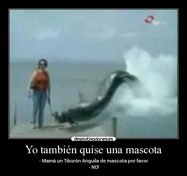 Yo también quise una mascota - - Mamá un Tiburón Anguila de mascota por favor
- NO!