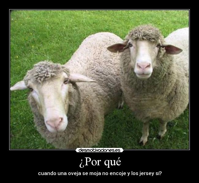 ¿Por qué - 