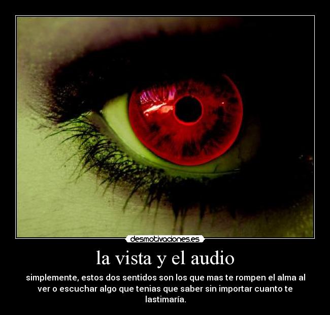 la vista y el audio - 