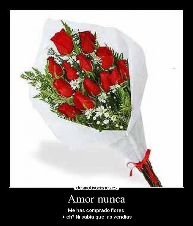 Amor nunca - 