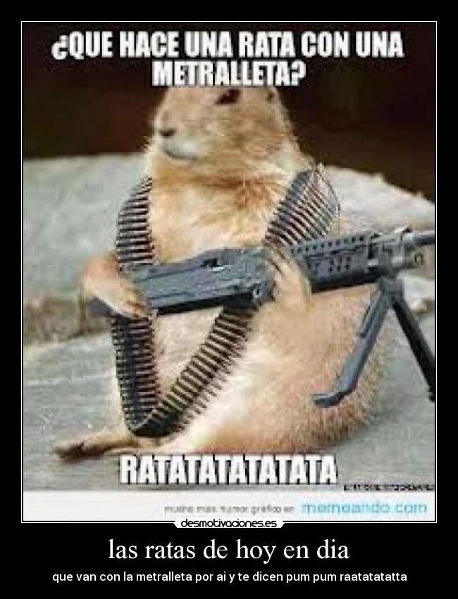 las ratas de hoy en dia - 