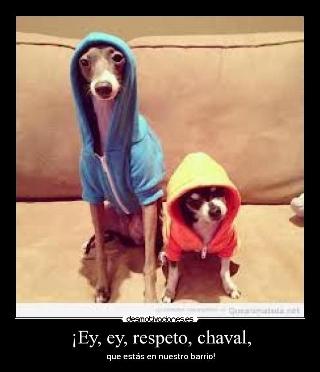 ¡Ey, ey, respeto, chaval, -