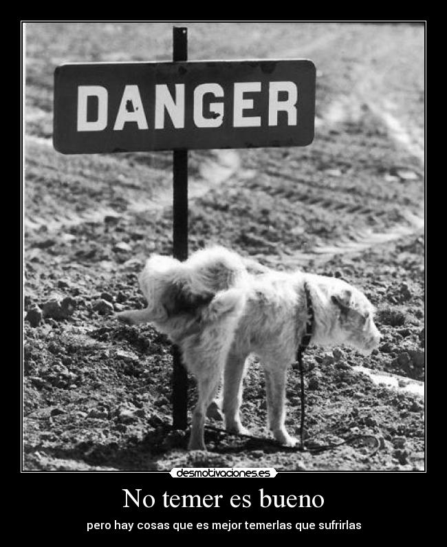 carteles temer ser bueno mejor sufrir cosa haber ely desmotivaciones