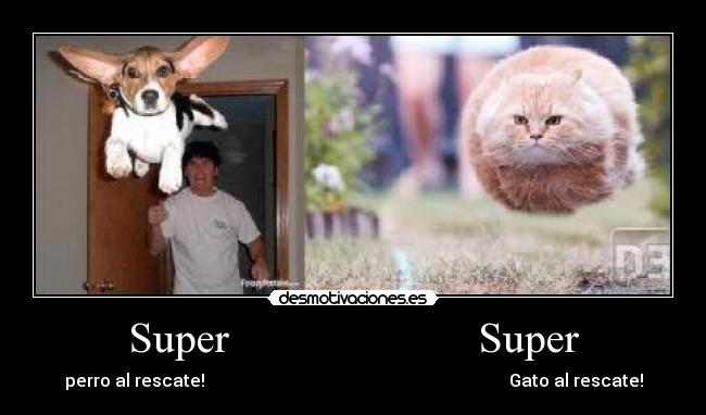 Super                       Super - 