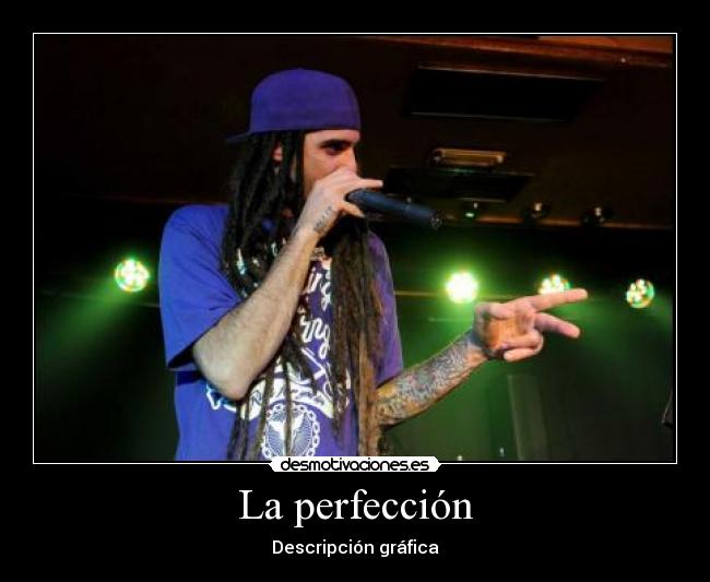 La perfección - Descripción gráfica