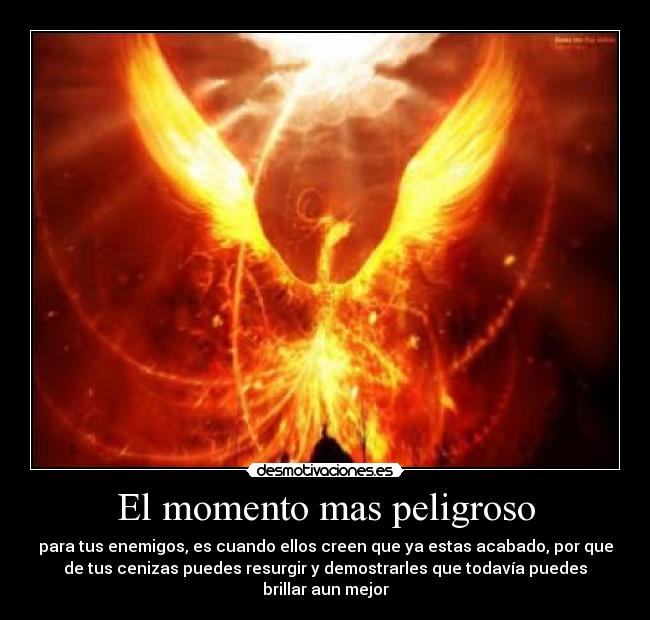 El momento mas peligroso - para tus enemigos, es cuando ellos creen que ya estas acabado, por que
de tus cenizas puedes resurgir y demostrarles que todavía puedes
brillar aun mejor