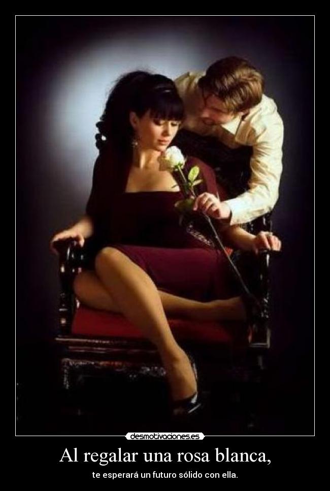 carteles rosa blanca desmotivaciones