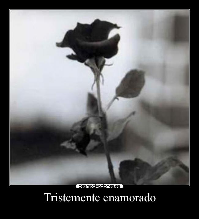 Tristemente enamorado -