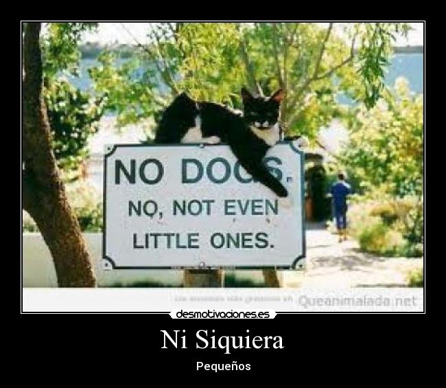 Ni Siquiera - 