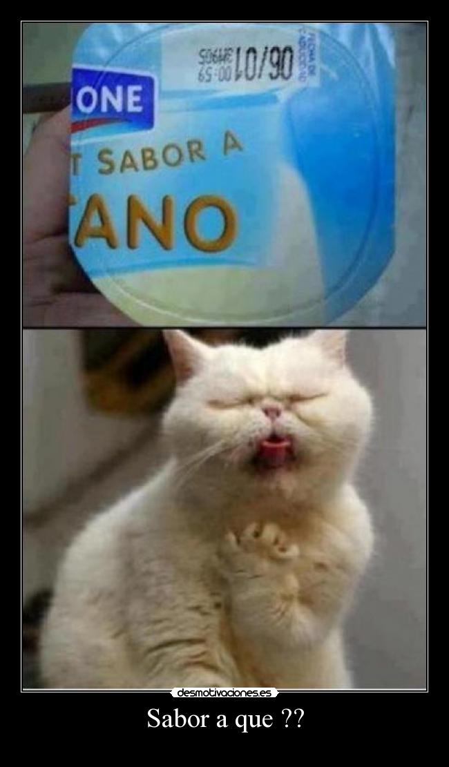 carteles sabor que desmotivaciones