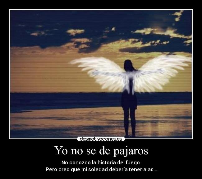 Yo no se de pajaros - No conozco la historia del fuego.
Pero creo que mi soledad debería tener alas...