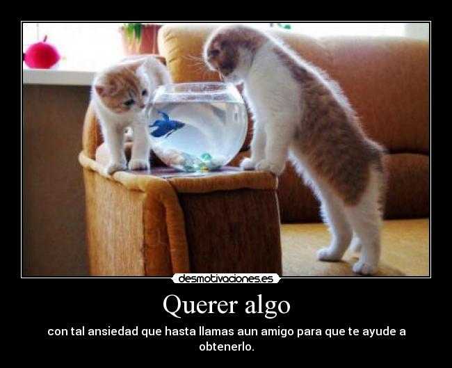 Querer algo - 