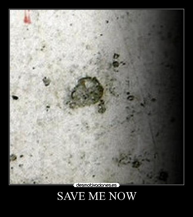 SAVE ME NOW - 