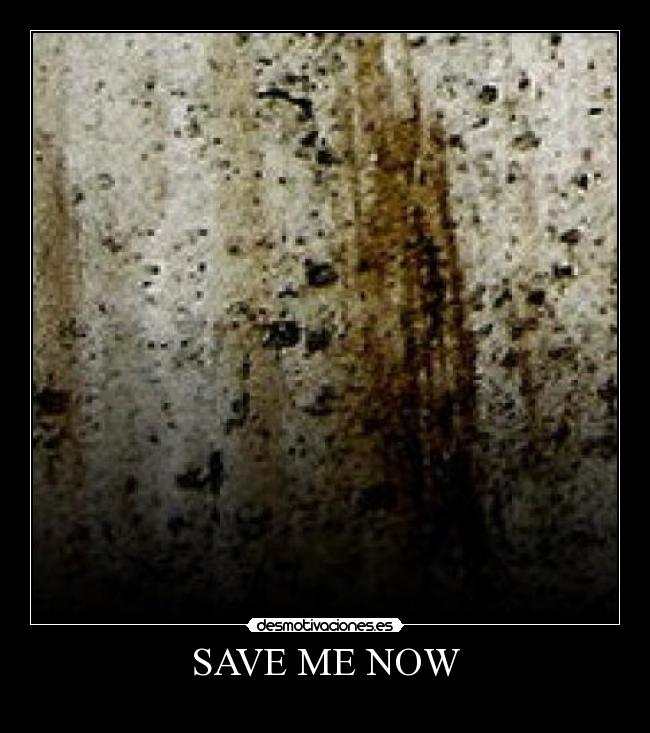 SAVE ME NOW - 