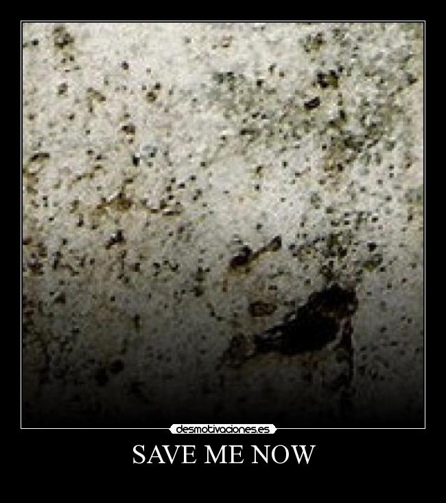 SAVE ME NOW - 